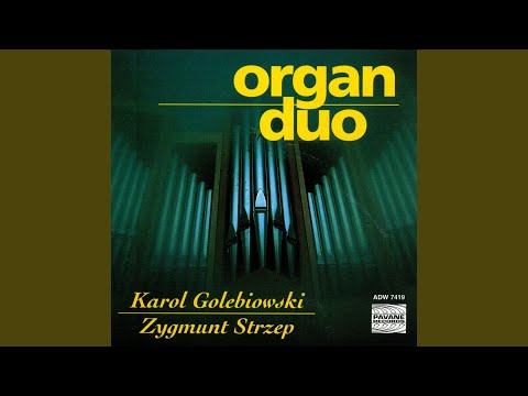 Concierto No. 1: Allegro