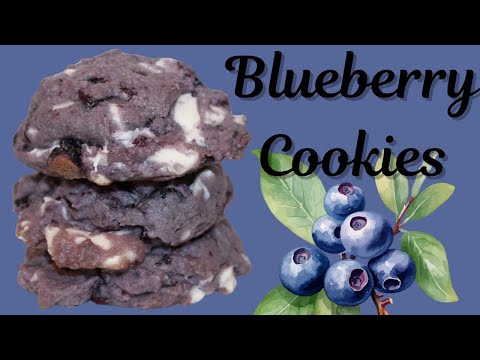 Blueberry Cookies Recipe