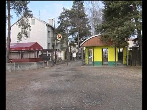 Holice začala příravu na jaro