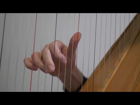 Fast 3,2,1 pattern on the harp - Slow Motion Monday ep.39