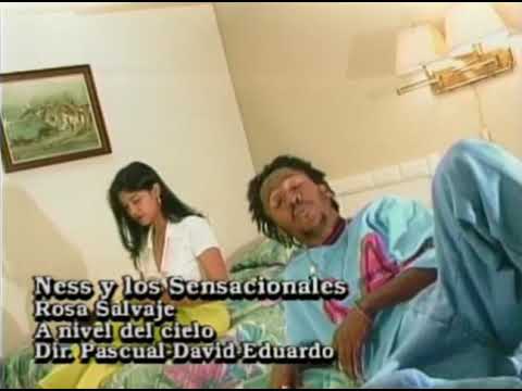 #11 Ness Y Los Sensacionales - Rosa Salvaje (Official Video)