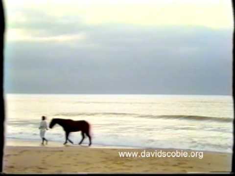 David Scobie - Don't Pass Me By 1982