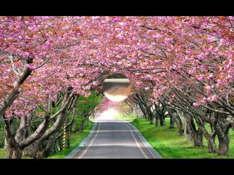 download lagu mp3 mp4 Sabbath Fluff, download lagu Sabbath Fluff gratis, unduh video klip Sabbath Fluff