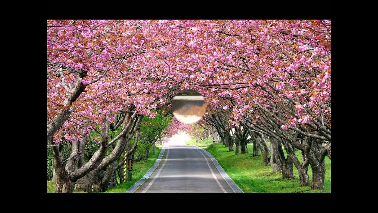 Black Sabbath - Fluff Guitar pro tab