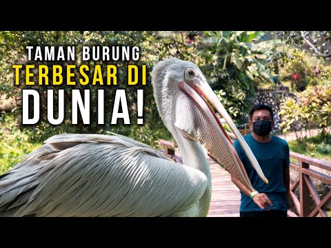 Tak Sangka Malaysia ada Taman Burung terbesar di DUNIA!