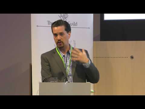 Innovation – diversification or distraction?