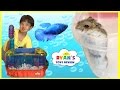 Ryan S First Pet Fish
