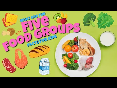 The 5 Food Groups - Educational Facts for Kids