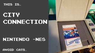 This is City Connection for the NES
