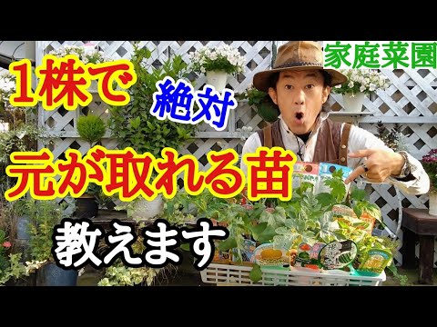 庭をどのように計画するか？豊かな菜園を作るために重要なステップは何ですか?  庭園
