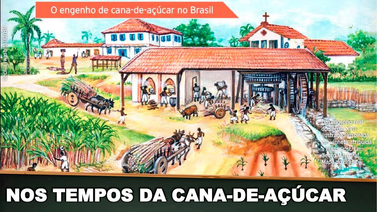BRASIL NOS TEMPOS DA CANA-DE-AÇÚCAR