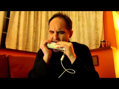 LAURENT MAUR tries out the LEKHOLM DM48 Midi Harmonica