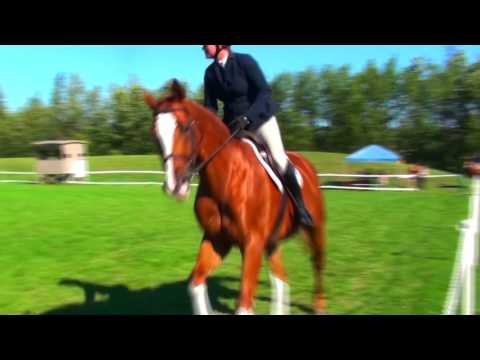 SpruceView's Qatar - Hunter Round
