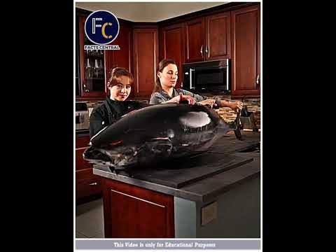 ஏன் Tuna Fish ஓட தலைய First வெட்டுறாங்க  😱😱 !!! #shorts #factscentral