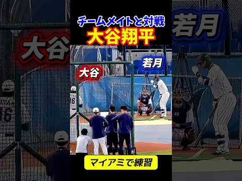 大谷選手がライブBPで調整！！