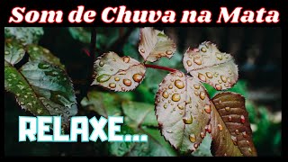 Som de Chuva na Mata Com Troves e Música de Piano Para Meditar, Relaxar e Dormir.