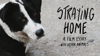 Straying home - Film teaser (2025)