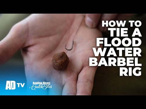 How To Tie A Flood Water Barbel Rig - Specialist Fishing Quickbite
