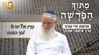 הרב איתמר אורבך | פרשת חיי שרה | קניין ארץ ישראל לבני האבות | כ"ב חשון תשפ"ו (ישיבת מרכז הרב) - התמונה מוצגת ישירות מתוך אתר האינטרנט יוטיוב. זכויות היוצרים בתמונה שייכות ליוצרה. קישור קרדיט למקור התוכן נמצא בתוך דף הסרטון הרב איתמר אורבך | פרשת חיי שרה | קניין ארץ ישראל לבני האבות | כ"ב חשון תשפ"ו (ישיבת מרכז הרב) - התמונה מוצגת ישירות מתוך אתר האינטרנט יוטיוב. זכויות היוצרים בתמונה שייכות ליוצרה. קישור קרדיט למקור התוכן נמצא בתוך דף הסרטון