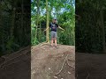 WORLD S BIGGEST ANT HILL