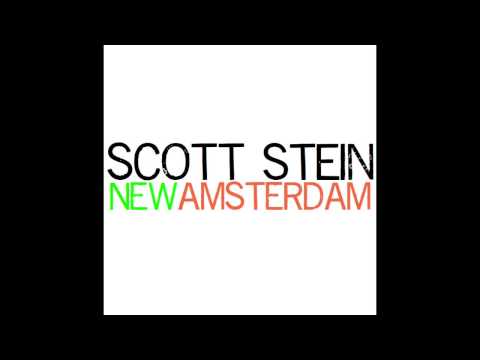 Scott Stein - New Amsterdam