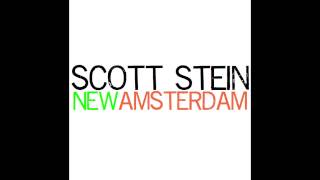 Scott Stein - New Amsterdam