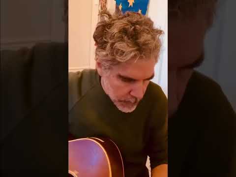 Stem - Hayden