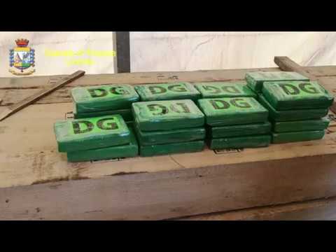 Sequestro di cocaina nel porto di Livorno