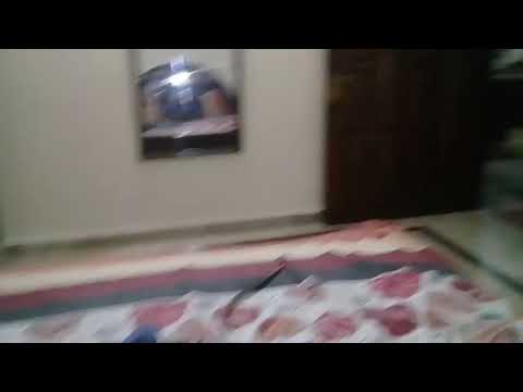 Birthday dabeer shah