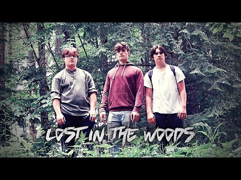 Lost In The Woods