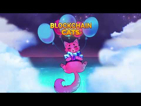 Blockchain Cats Video