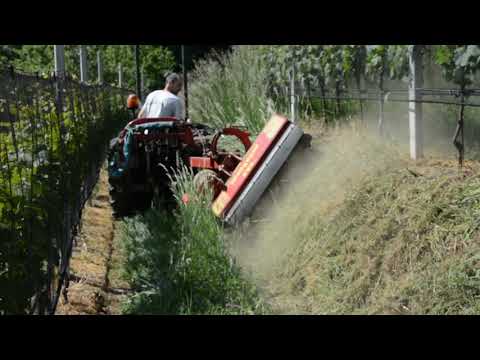 Böschungsmulcher im Weinbau
