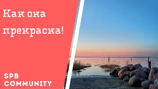 Рыбалка на канонерском острове 2019 осень