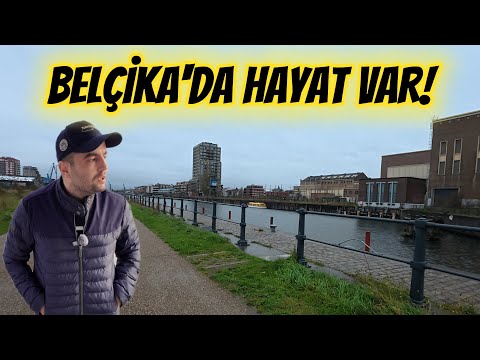 There's Life in Belgium! What Are My Plans? Education, Work, and Life