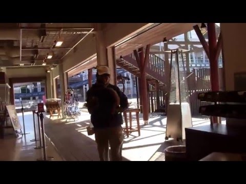 #1-1 Jan 2016 Red panda at Adventure world, Japan