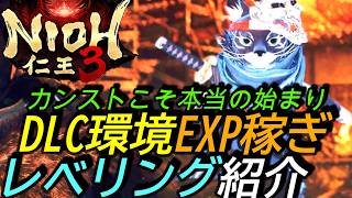 [仁王3]攻略:DLC向け経験値稼ぎ！カンストこそ始まり、アムリタ沢山最強レベリング!?[Nioh3][PS5]