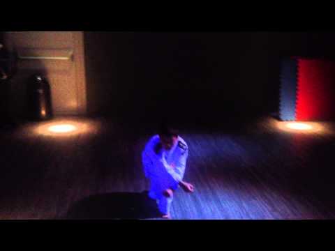 極真空手道百科事典 Garyu No Kata