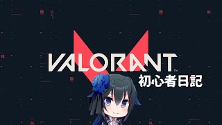 【VALORANT】新Actのコンペ部