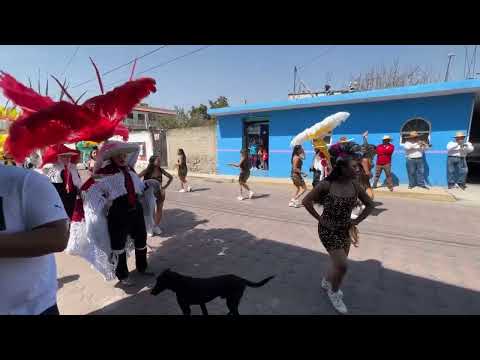 Carnaval Santa Cruz Quilehtla 2024 (La Octava)