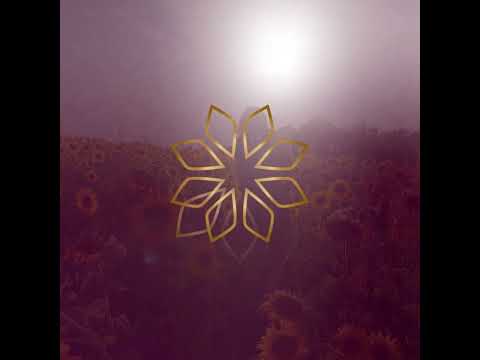 Walkthrough Walkthrough