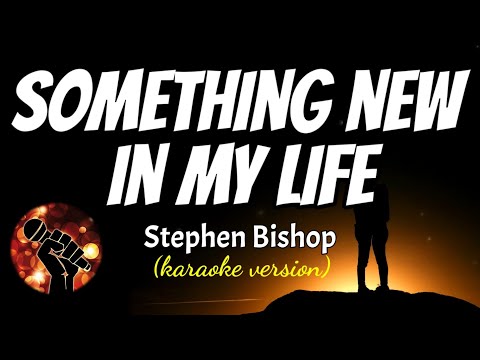 SOMETHING NEW IN MY LIFE - STEPHEN BISHOP (karaoke version)