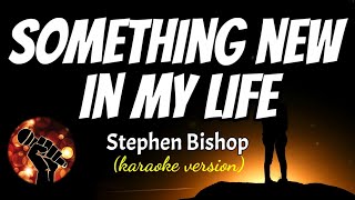 SOMETHING NEW IN MY LIFE - STEPHEN BISHOP (karaoke version)