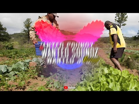 YoungBlood - " Sa I Au Na Farmer " Remiix [ Wanted Soundz ] 2024