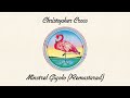 Christopher Cross - Minstrel Gigolo (Remastered) (Official Lyric Video)