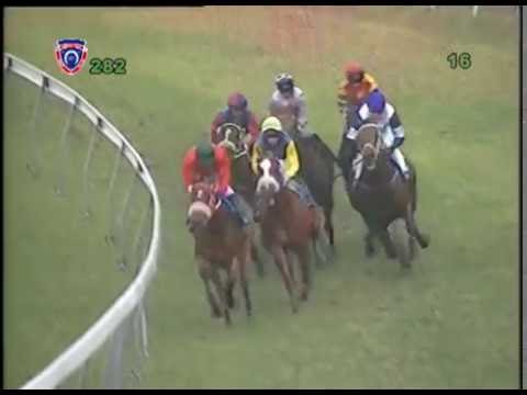 28th MEETING 2016 -  Race 02