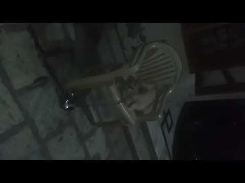 My Dog😍😘🥰🥰😊