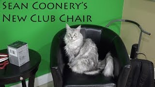 Sean Coonery Enjoying His New Leather Club Chair in 4K