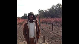 Childish Gambino - What Kind of Love (Galaxi Cover)