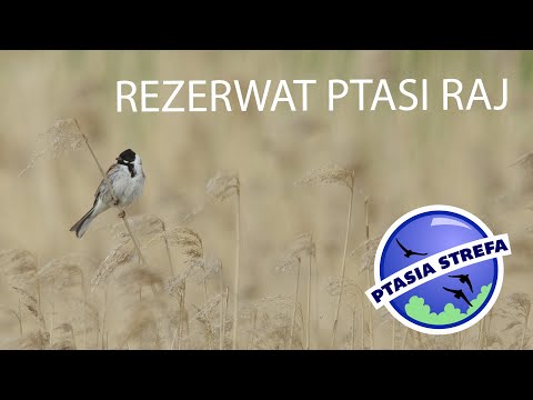 Rezerwat Ptasi Raj