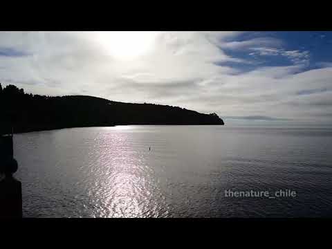 Lago Llanquihue Región de Los Lagos Chile 1 